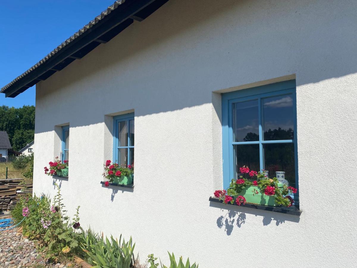 Dom Na Szumiacych Drzew Villa Debina  Dış mekan fotoğraf